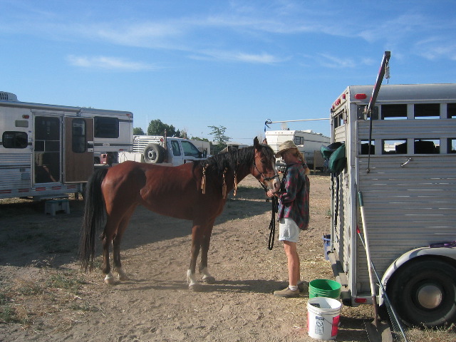 endOfDay.jpg
 (117.1k)