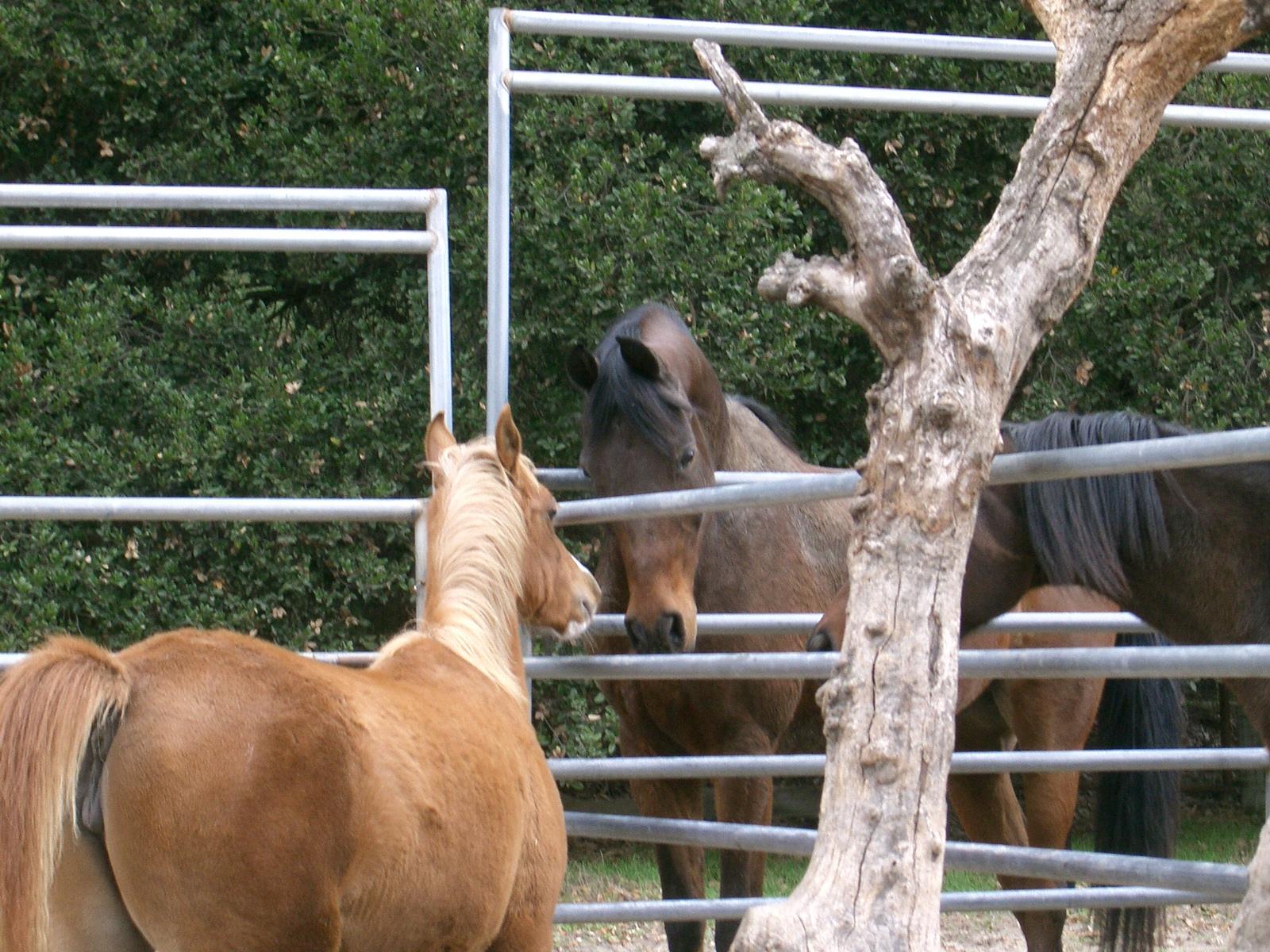 CIMG2498.JPG
 (353.5k)