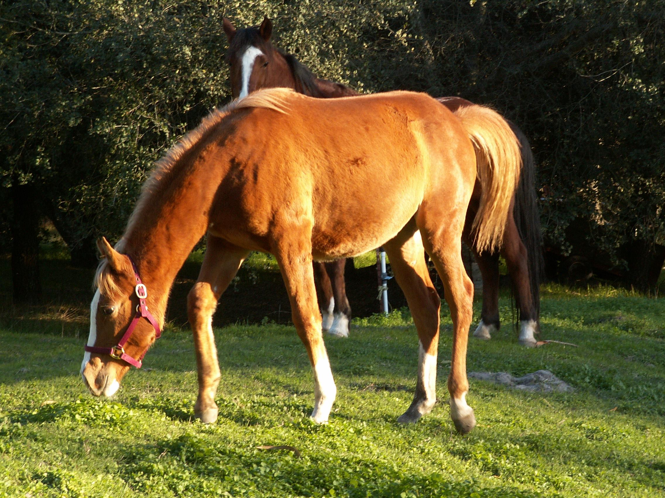 PICT0027.JPG
 (696.3k)